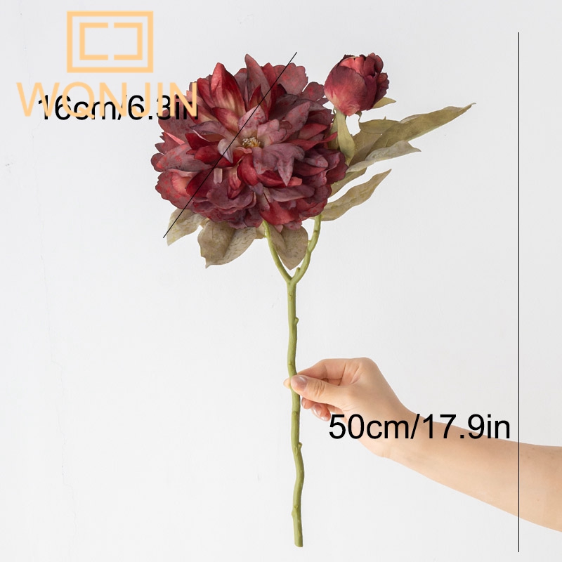 1PC Light Luxury 2 Head Big Pe - огляд і ціна Photography Artificial Lighting