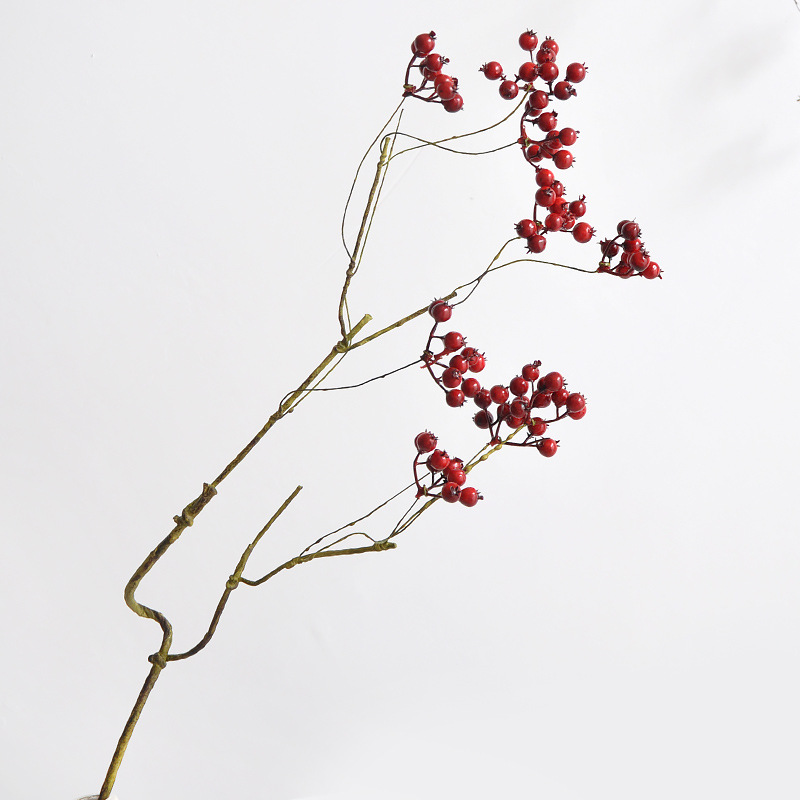 70CM Cranberry Artificial Frui - огляд і ціна Photography Artificial Lighting